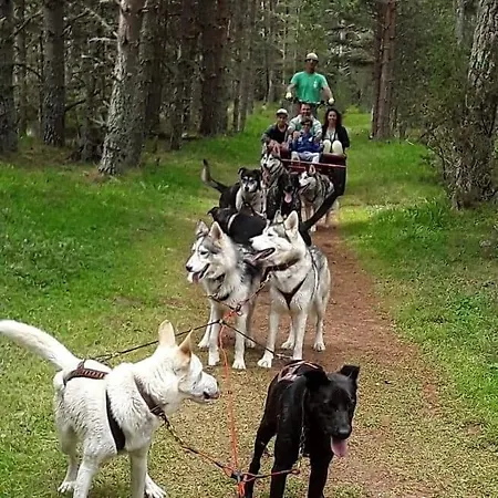 Le Petit De - Location Confort A La Montagne * סאיאגוז
